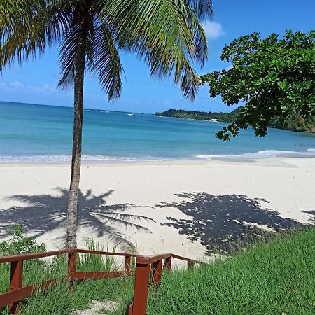 F3 Au Calme Vue Sur Mer 2 Chambres Balcon Terrasse La Trinité Kültér fotó