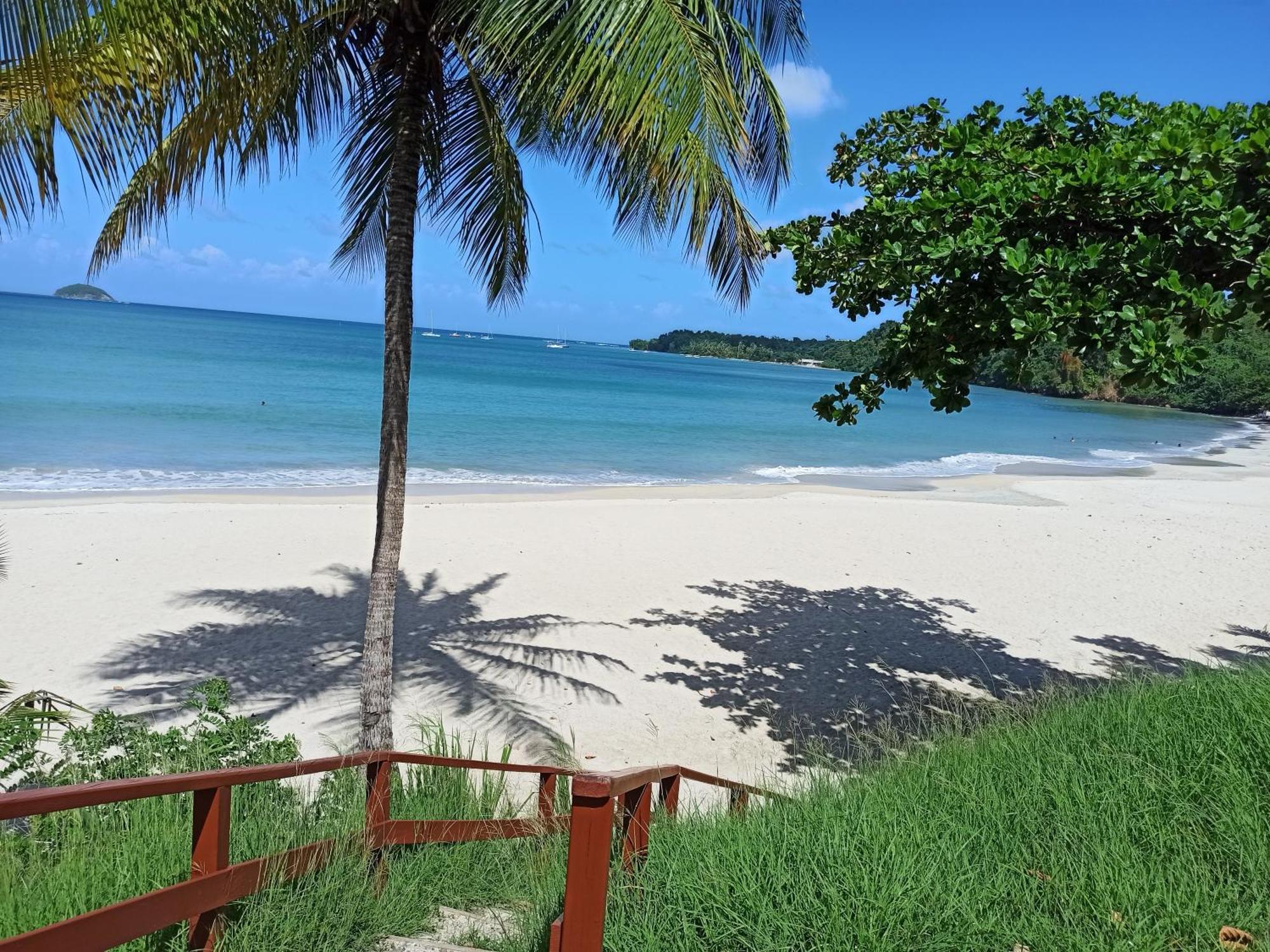 F3 Au Calme Vue Sur Mer 2 Chambres Balcon Terrasse La Trinité Kültér fotó