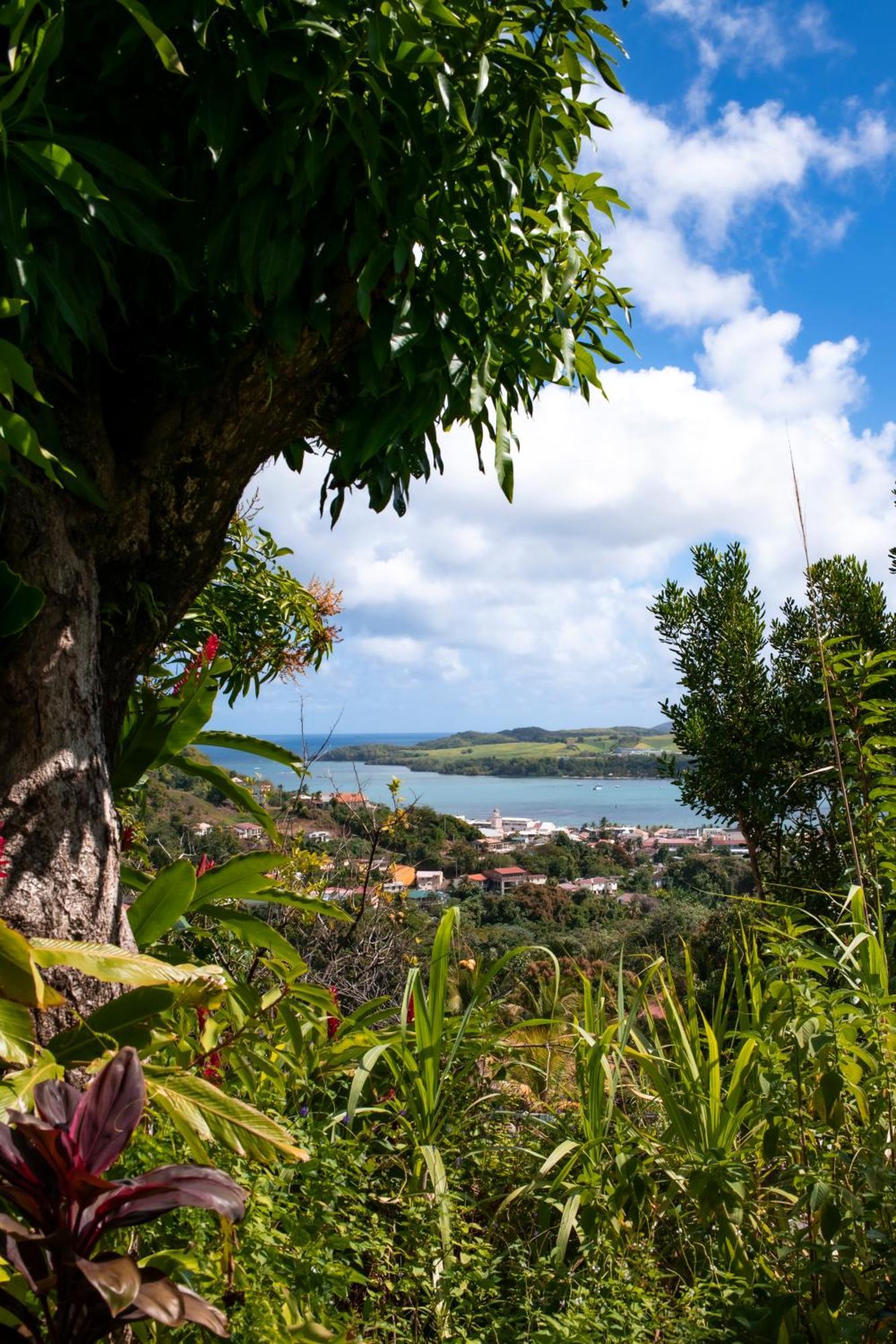 F3 Au Calme Vue Sur Mer 2 Chambres Balcon Terrasse La Trinité Kültér fotó
